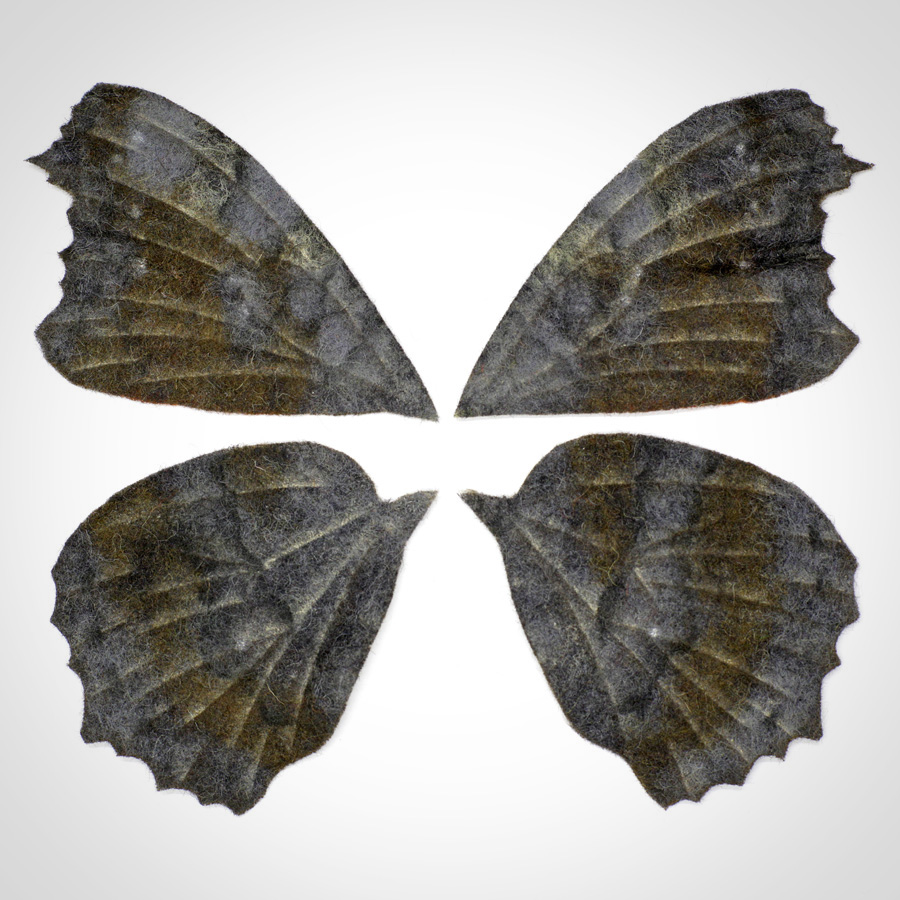 BUNDLE: Glued Felt + Peacock Butterfly - Image 5